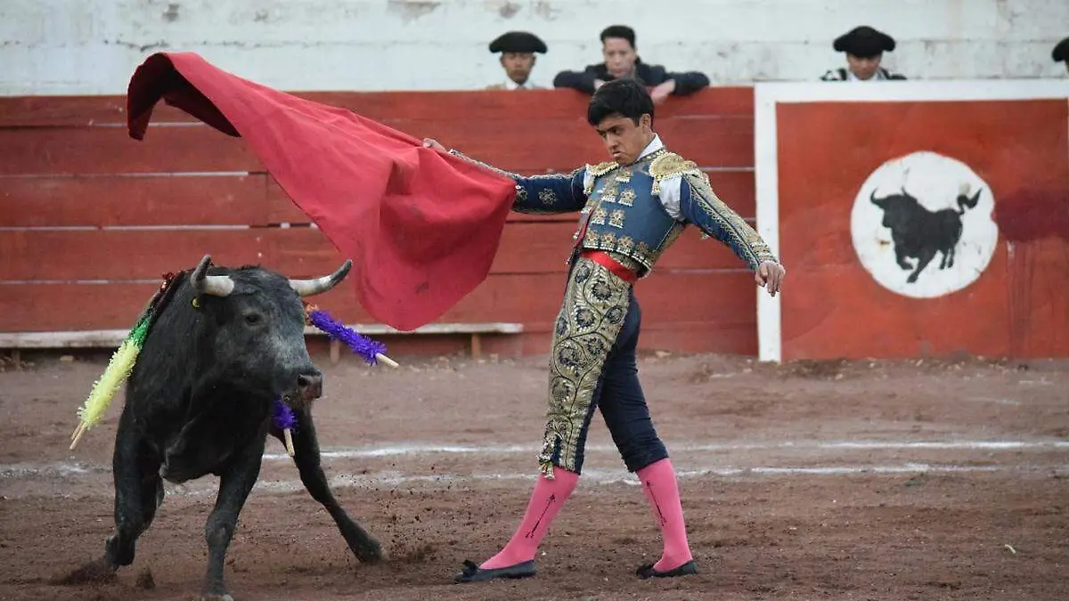 Novillada de Año Nuevo