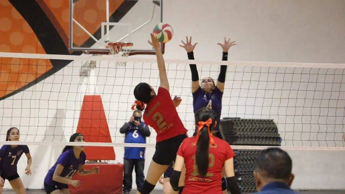 Voleibol