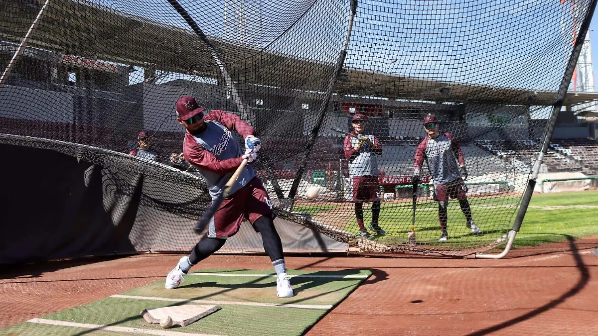 WhatsApp Image 2023-03-07 at 15.04.12