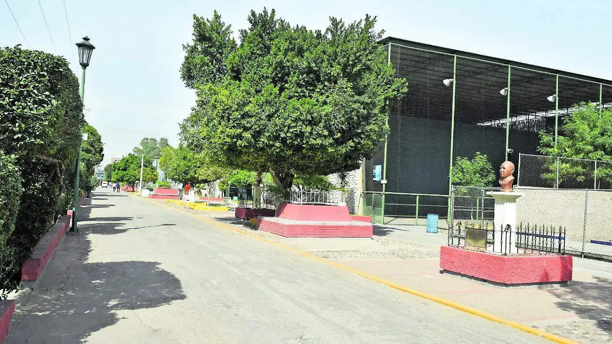44 La UDT estará abierta todo el mes de diciembre