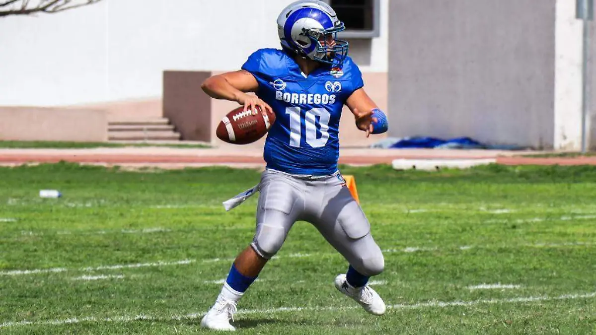 WhatsApp Image 2023-03-11 at 18.05.51