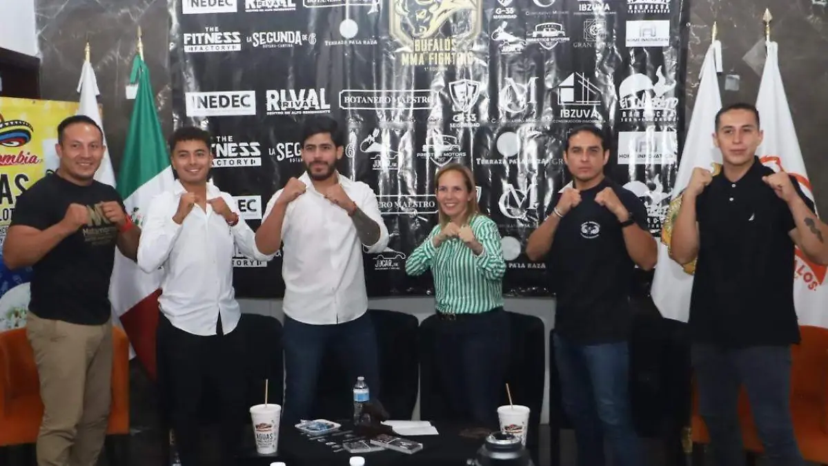 Artes Marciales Mixtas