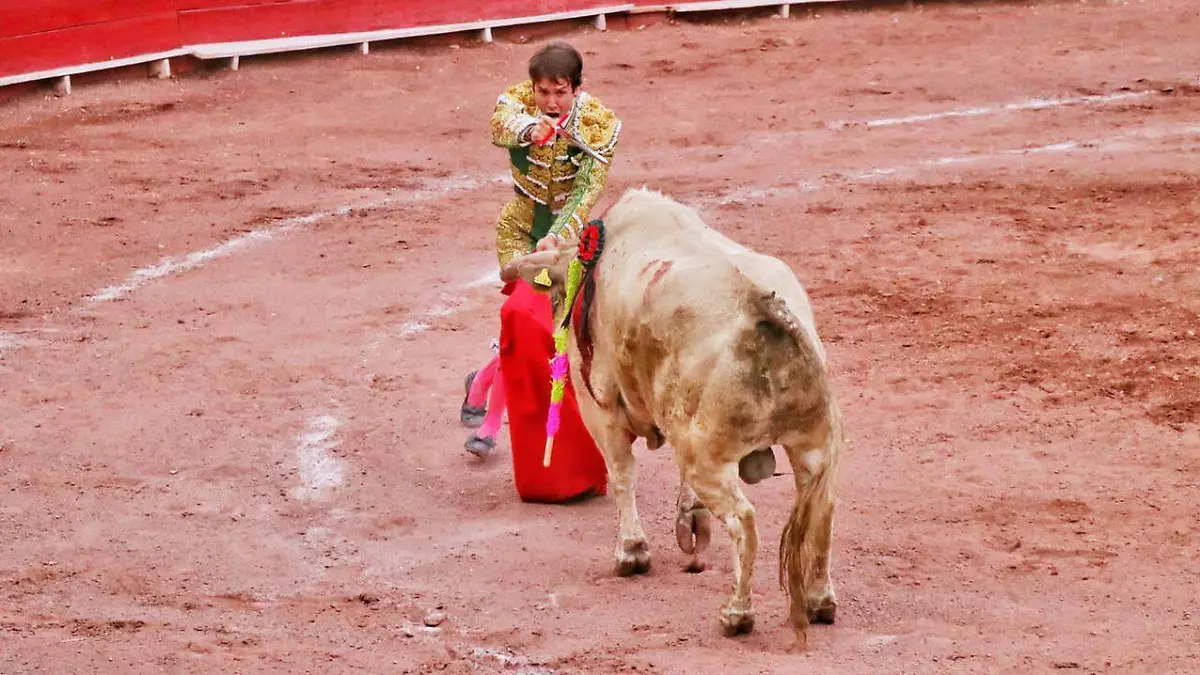 WhatsApp Image 2022-02-27 at 6.34.50 PM