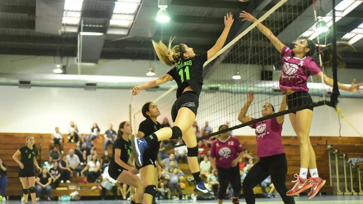 17 Nota informativa UDT reseña especial1