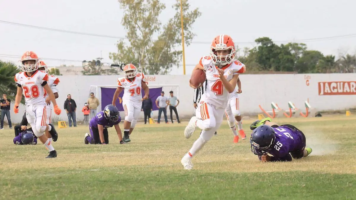 20 Líderes de la AFAIL