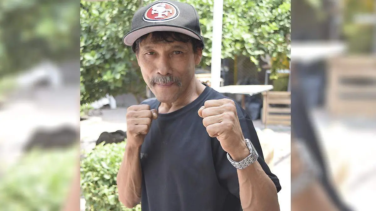 boxeador ok