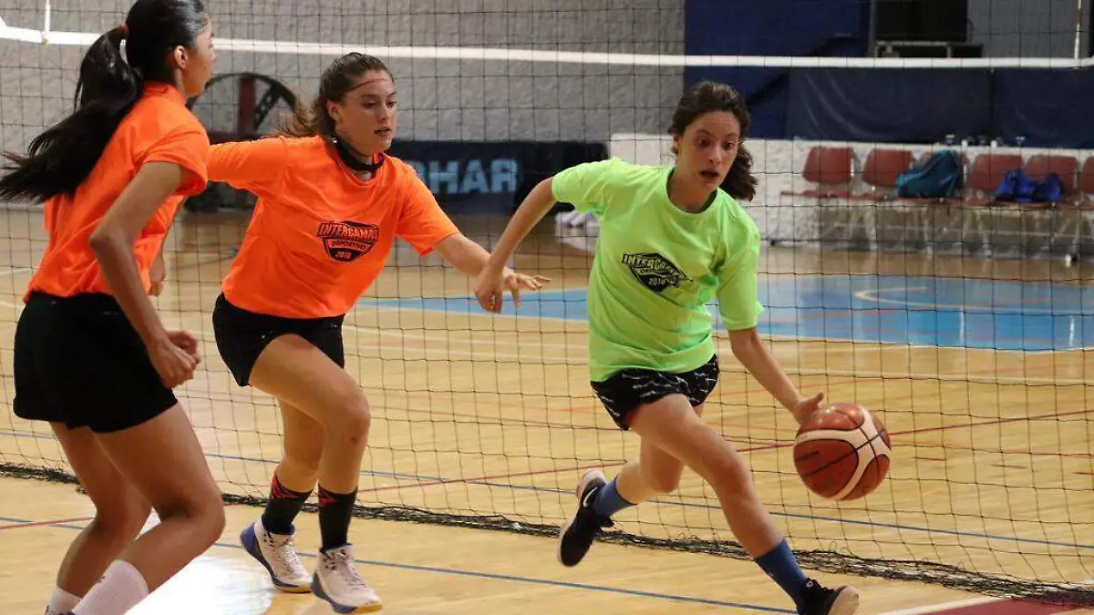 Borregos Tec de Monterrey Laguna