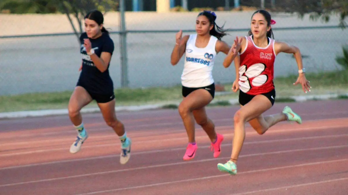 WhatsApp Image 2023-01-23 at 12.59.17 PM