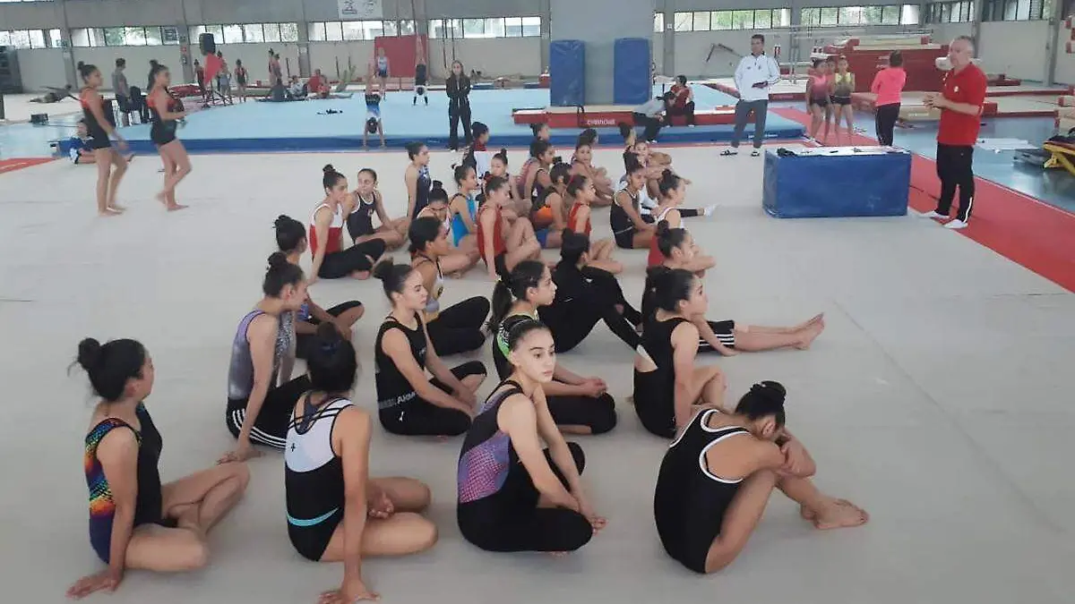 Gimnastas