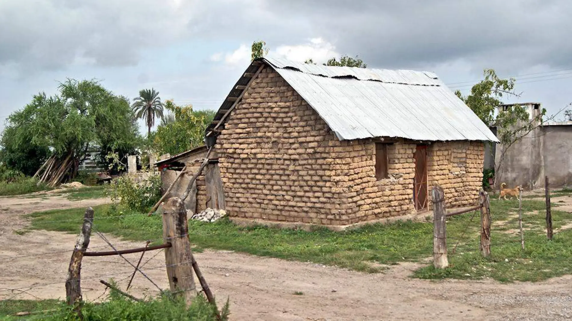 Pueblos Indígenas: Mascogos