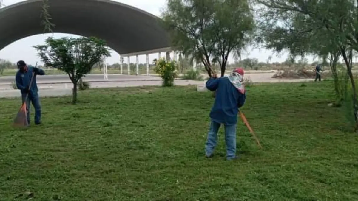 Bosque Ecológico