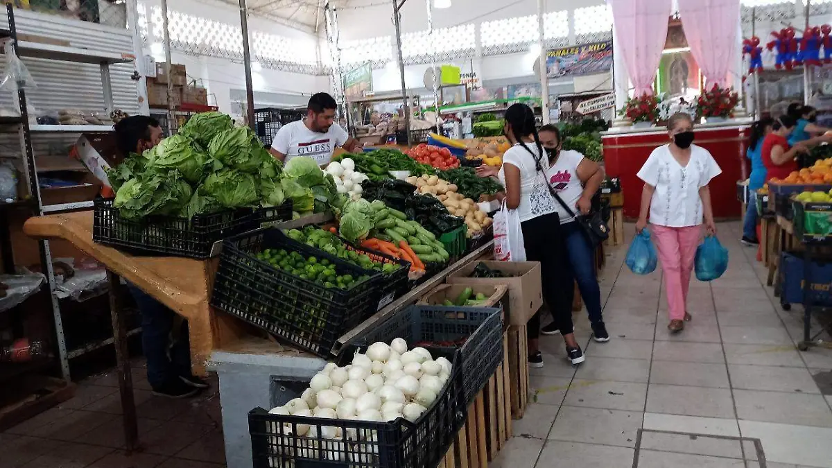 Mercado Donato Guerra