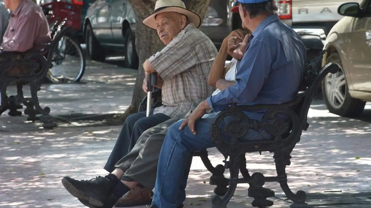 pensionados-imss