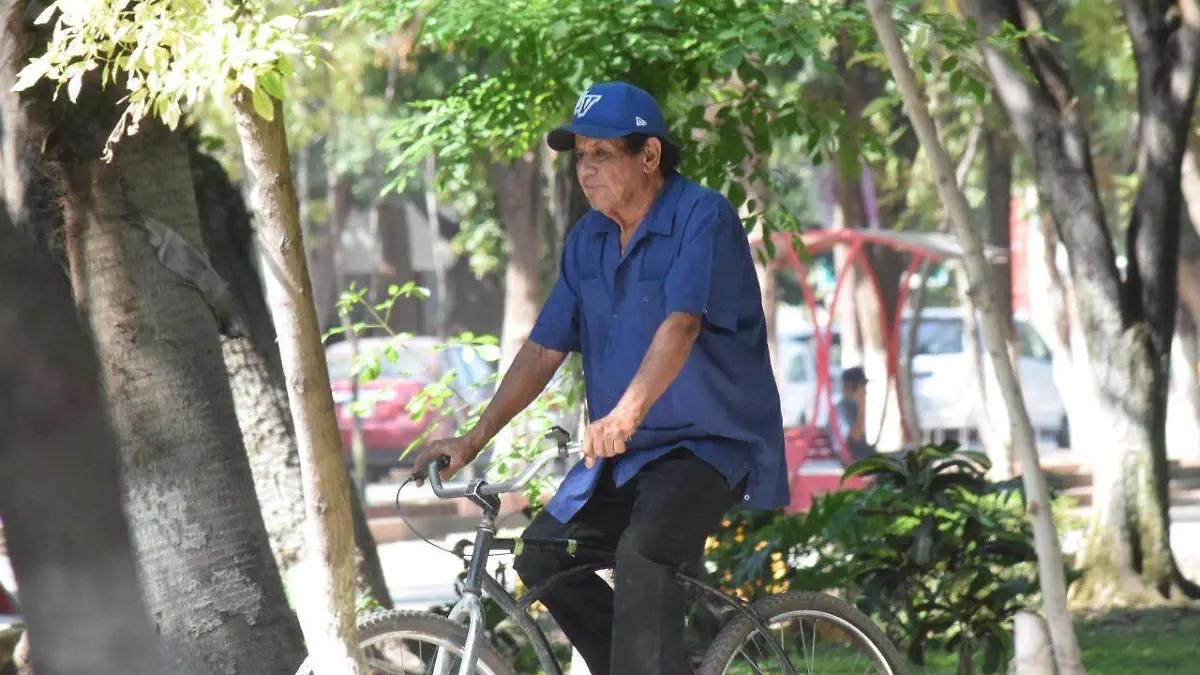 WhatsApp Image 2020-10-14 at 16.16.33