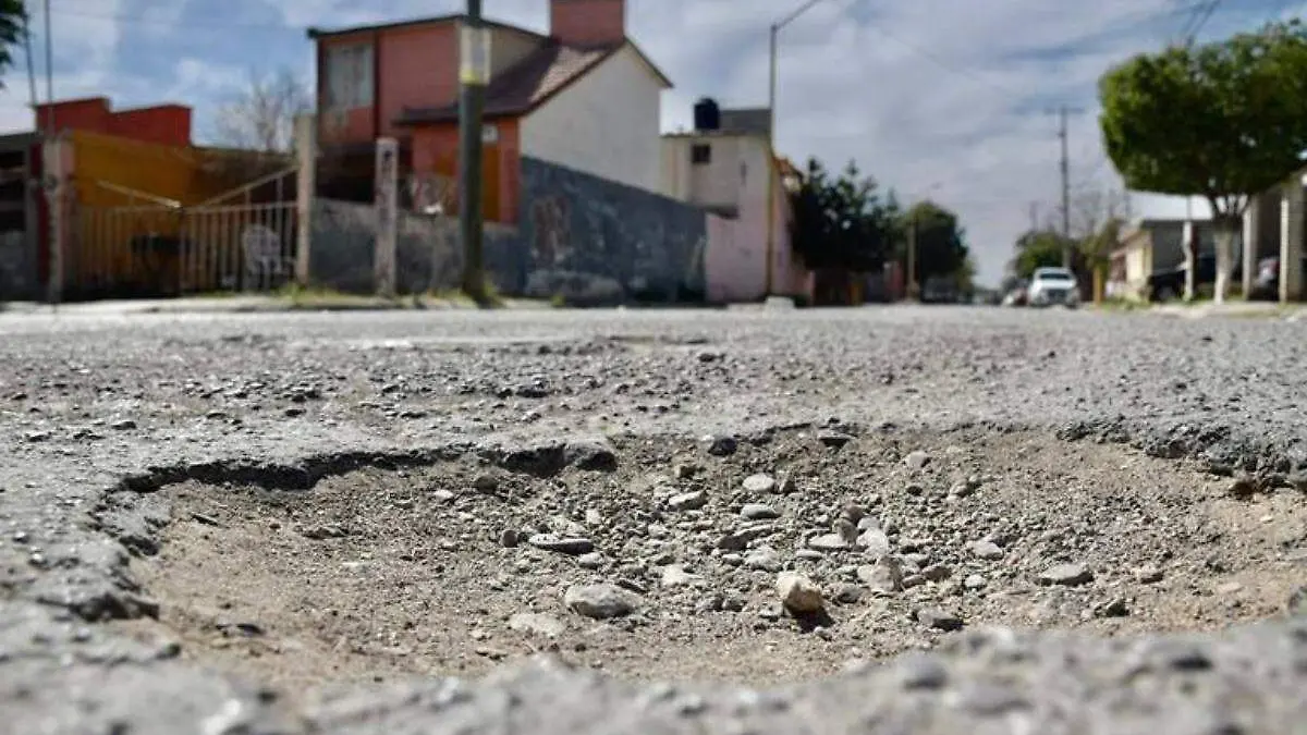 Baches