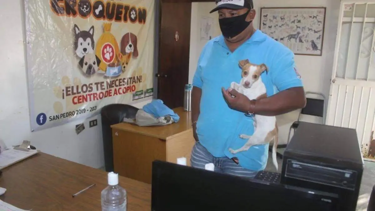 WhatsApp Image 2020-12-01 at 3.10.08 PM (1)