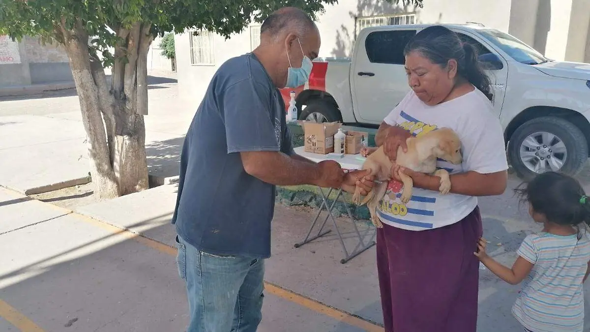 vacunación-san-pedro