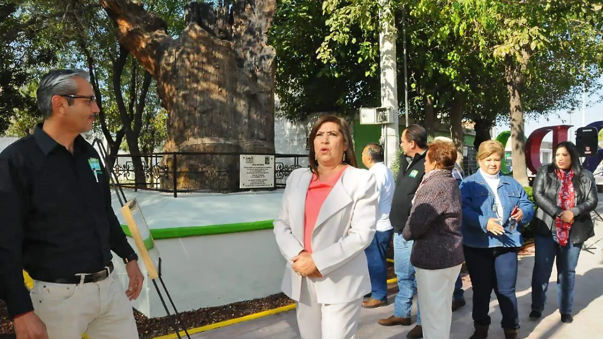 maría luisa gonzález achem