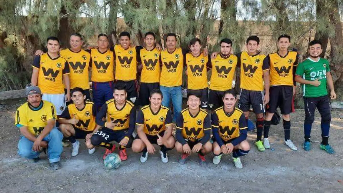 BOLETIN 1