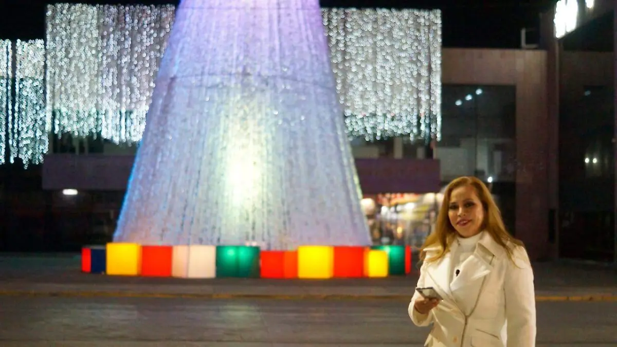Encendido del árbol de navidad