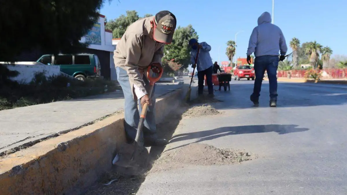 Acciones de Limpieza