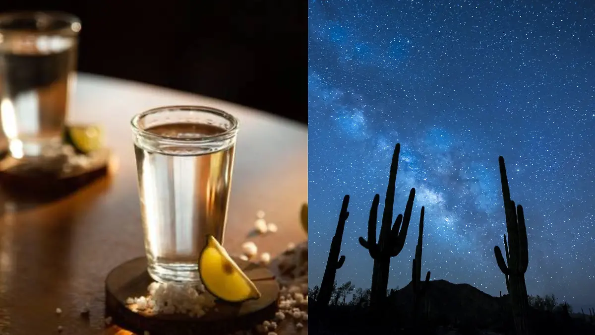 ¡Está vivo! - 2022-06-07T130226.794