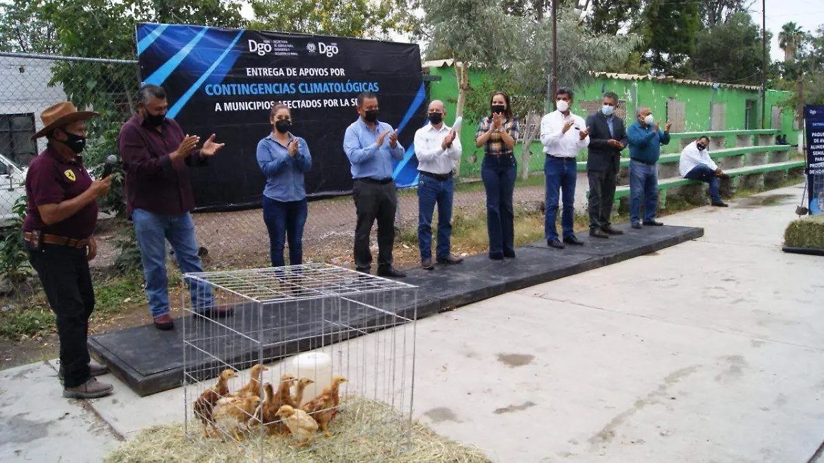 Entrega de aves Lerdo