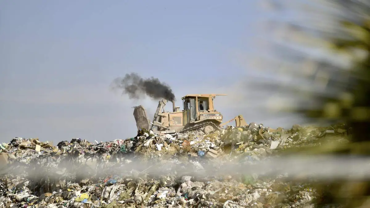 WhatsApp Image 2022-03-23 at 2.21.58 PM