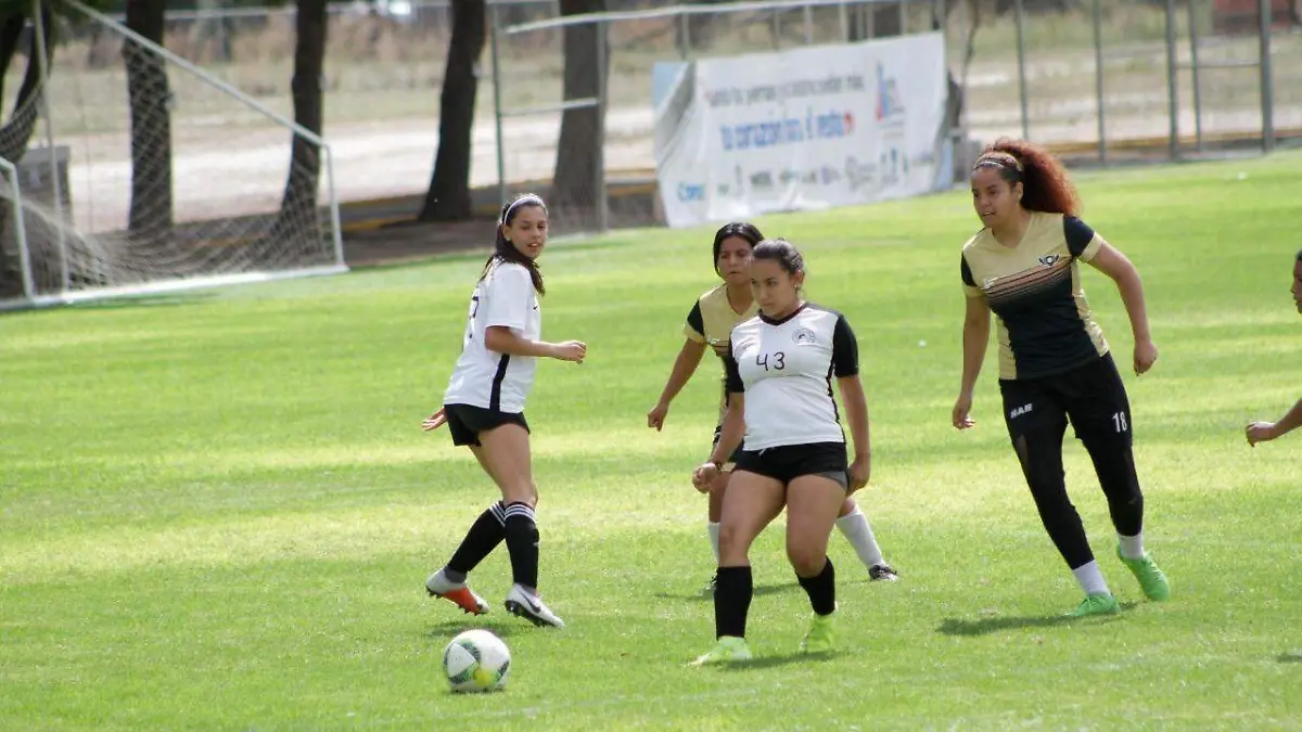 22 Torreón será sede de InterSUJ 2019