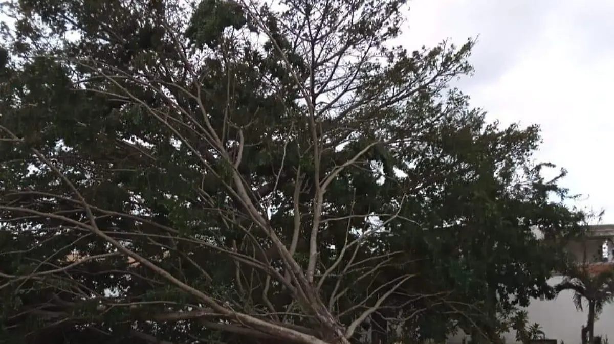 WhatsApp Image 2020-10-08 at 23.15.47