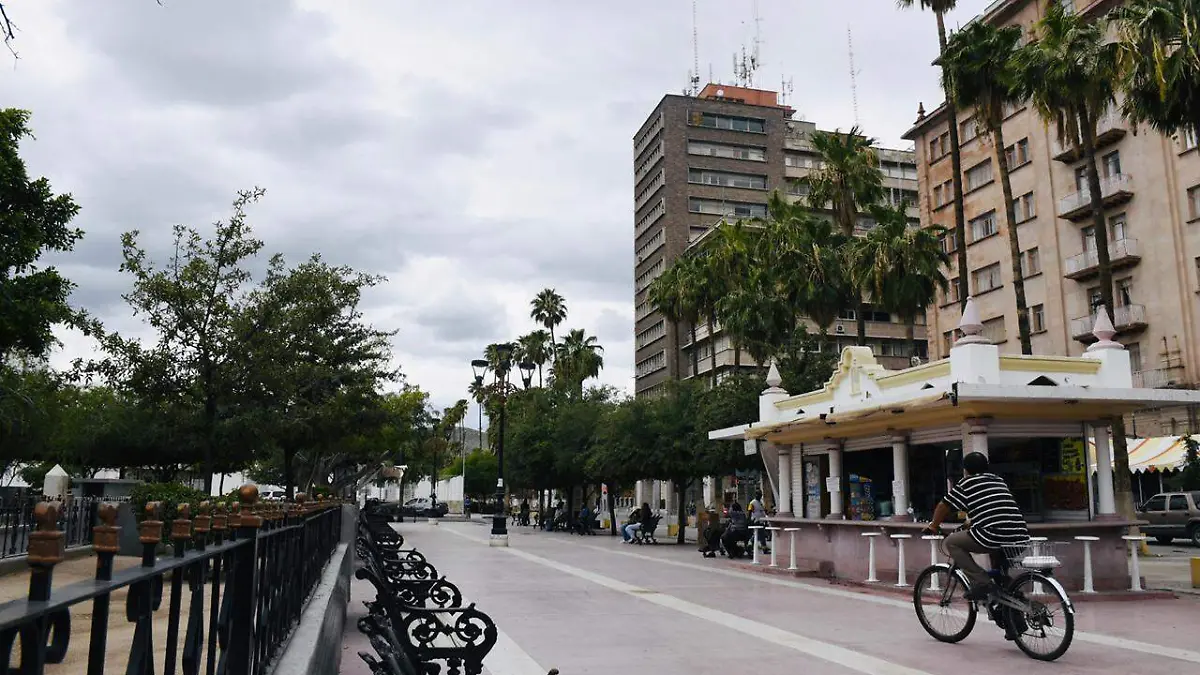TRIANA 3