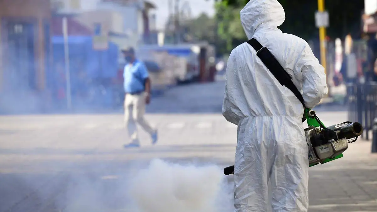 WhatsApp Image 2020-10-09 at 16.04.32