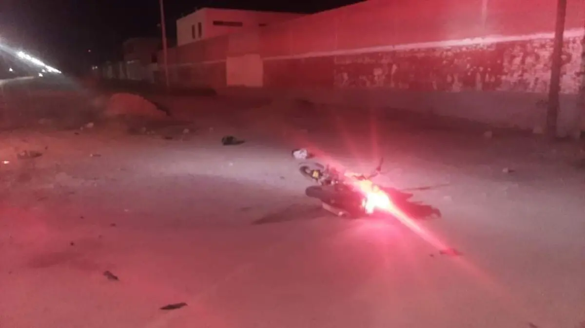 WhatsApp Image 2021-12-13 at 09.31.00