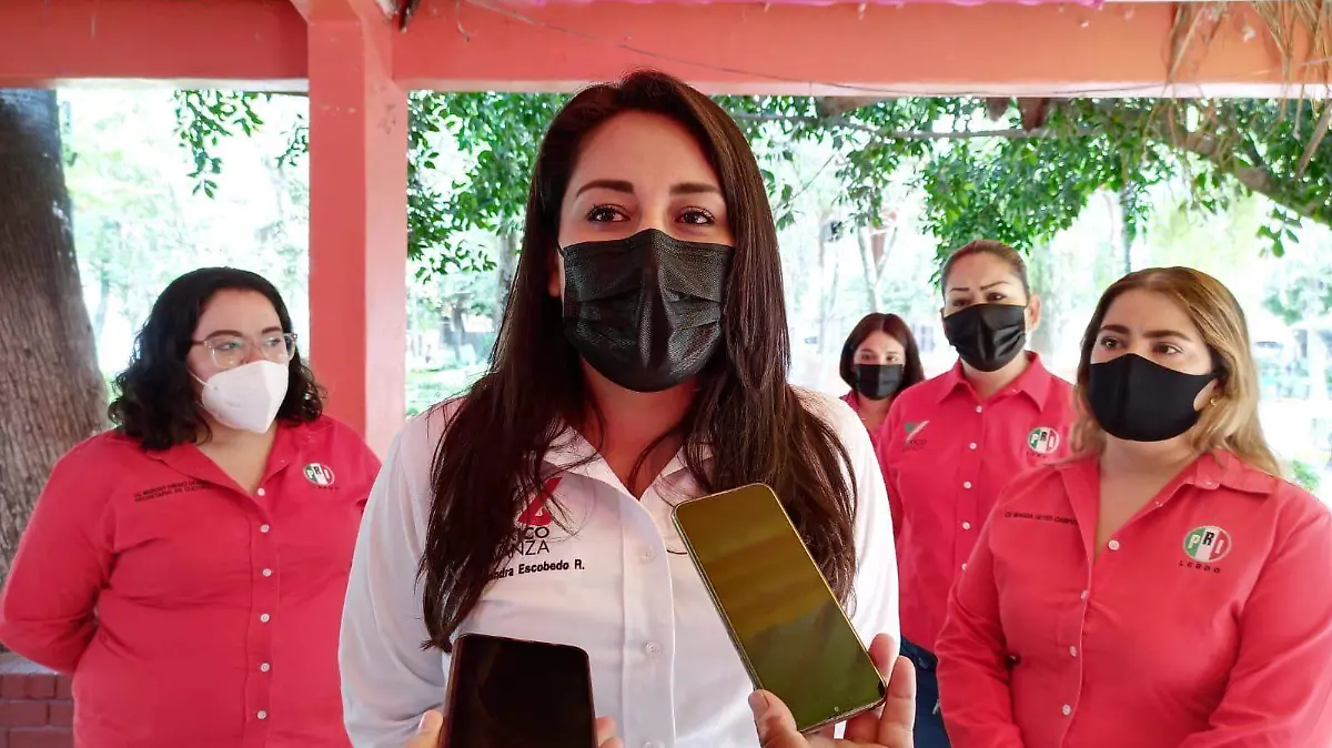 agrupación México Avanza