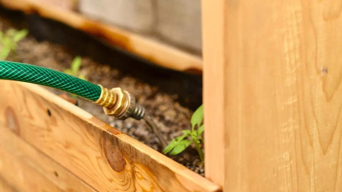 WhatsApp Image 2020-06-05 at 10.54.43 AM