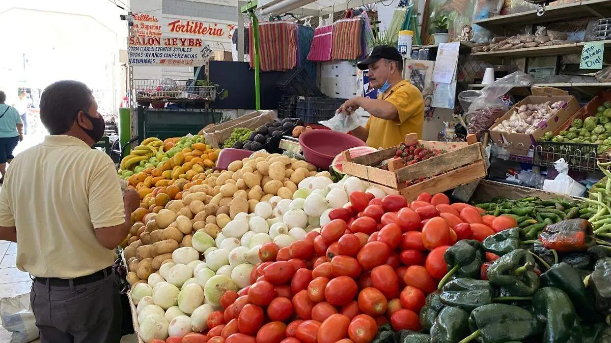 mercado-Donato-Guerra