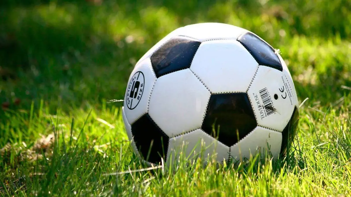Balón de futbol en el empastado de la cancha OEM