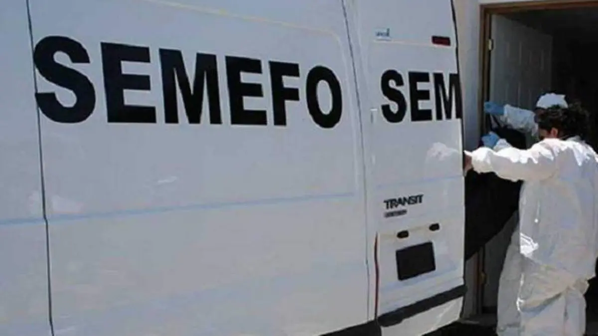 SEMEFO