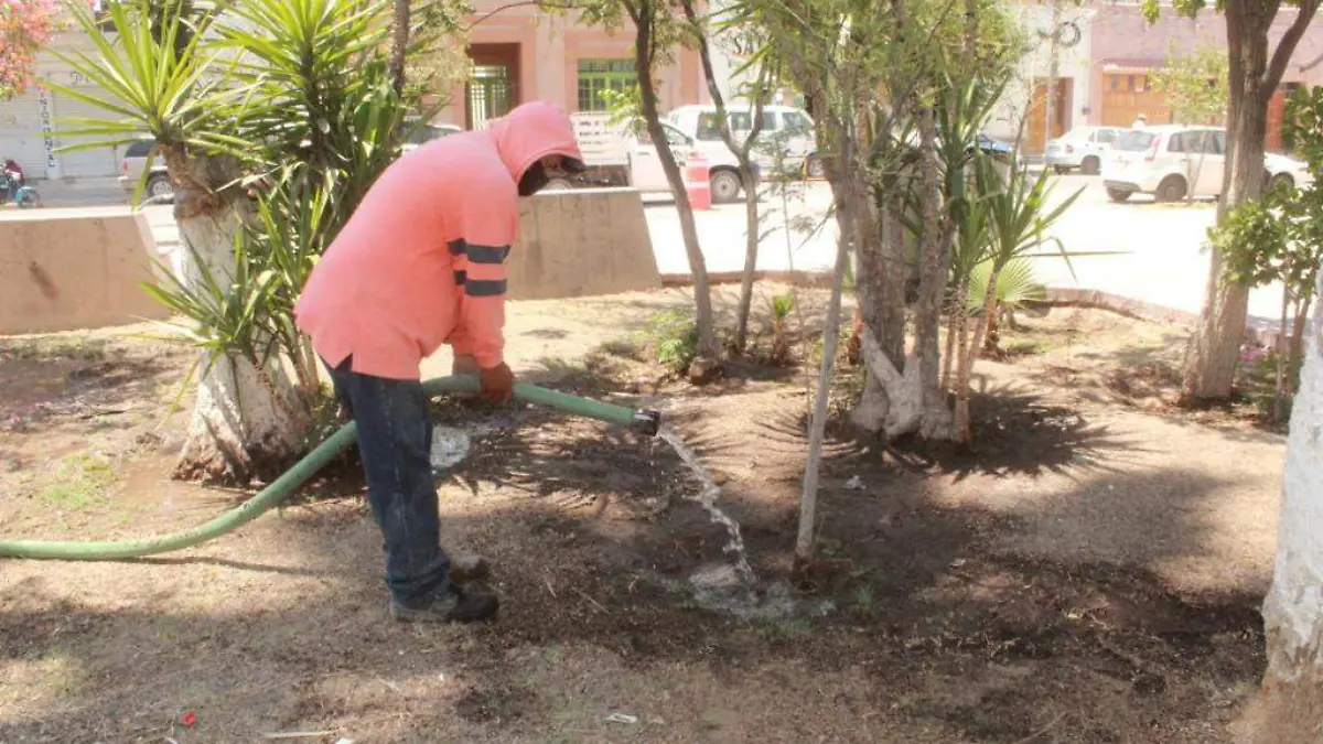 MARCELA 3 En San Pedro Continúan Labores de Riego