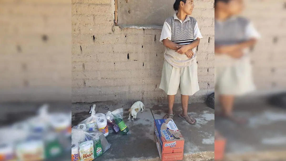 Apoyos alimentarios