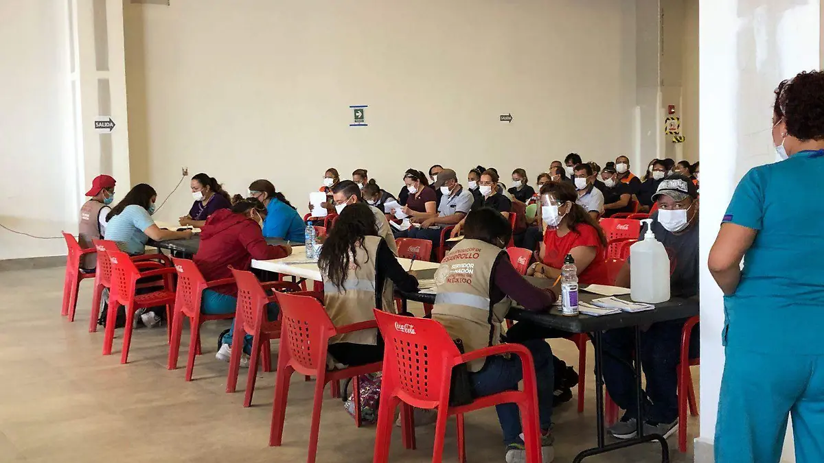 Vacunaci+´pn Saltilo