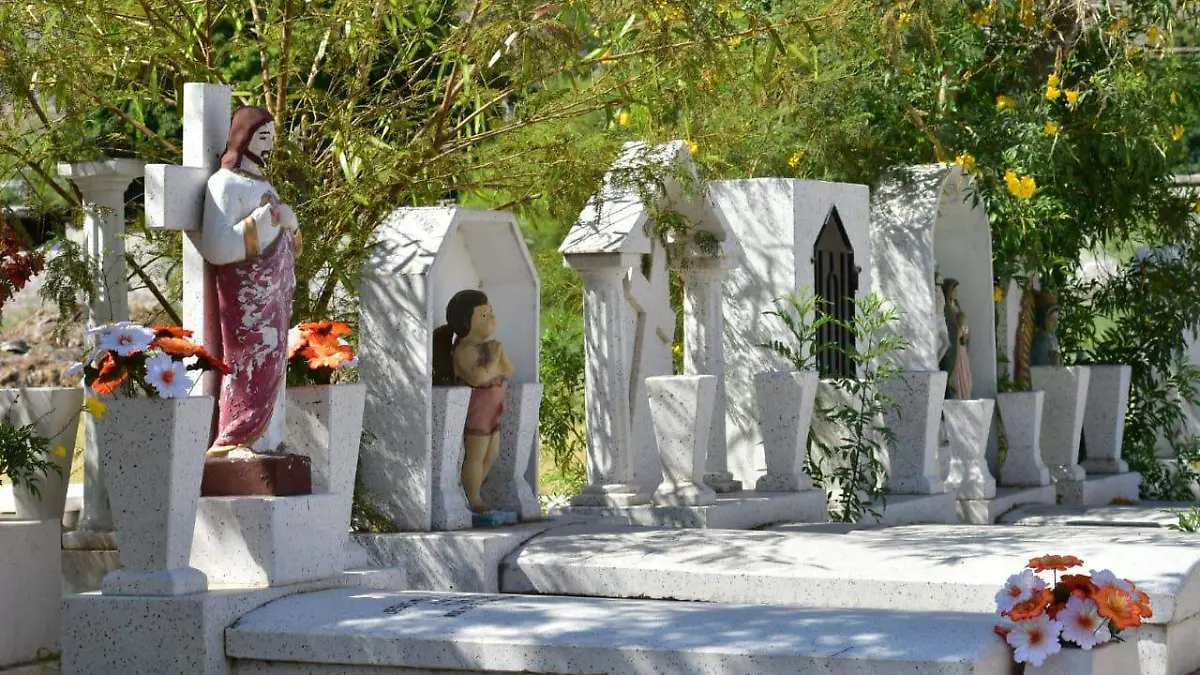 WhatsApp Image 2020-10-31 at 11.38.42 AM