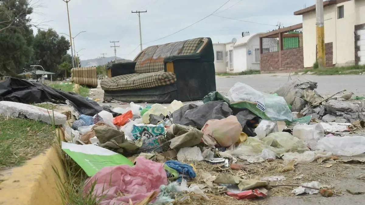 Basura Torreón