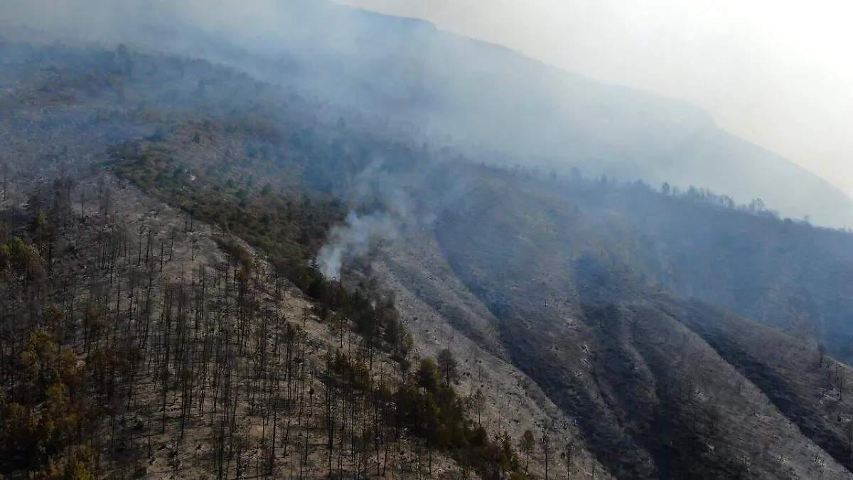 Incendio en Sierra de Arteaga