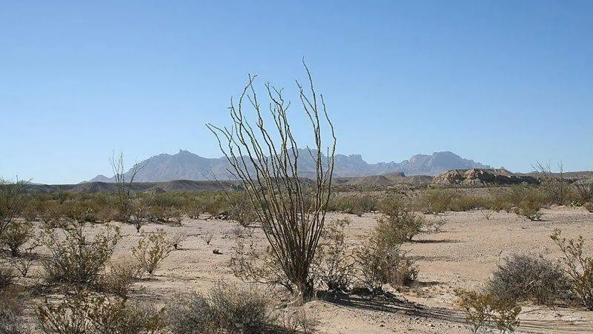 Desierto Chihuahuense
