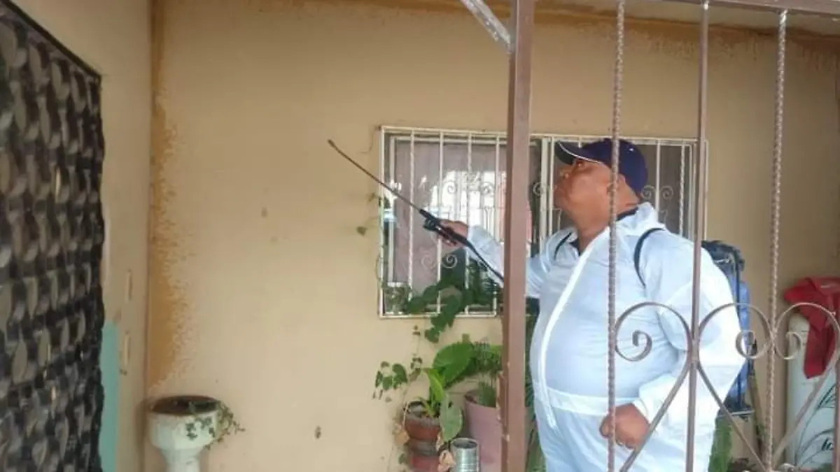 ROBERTO 2