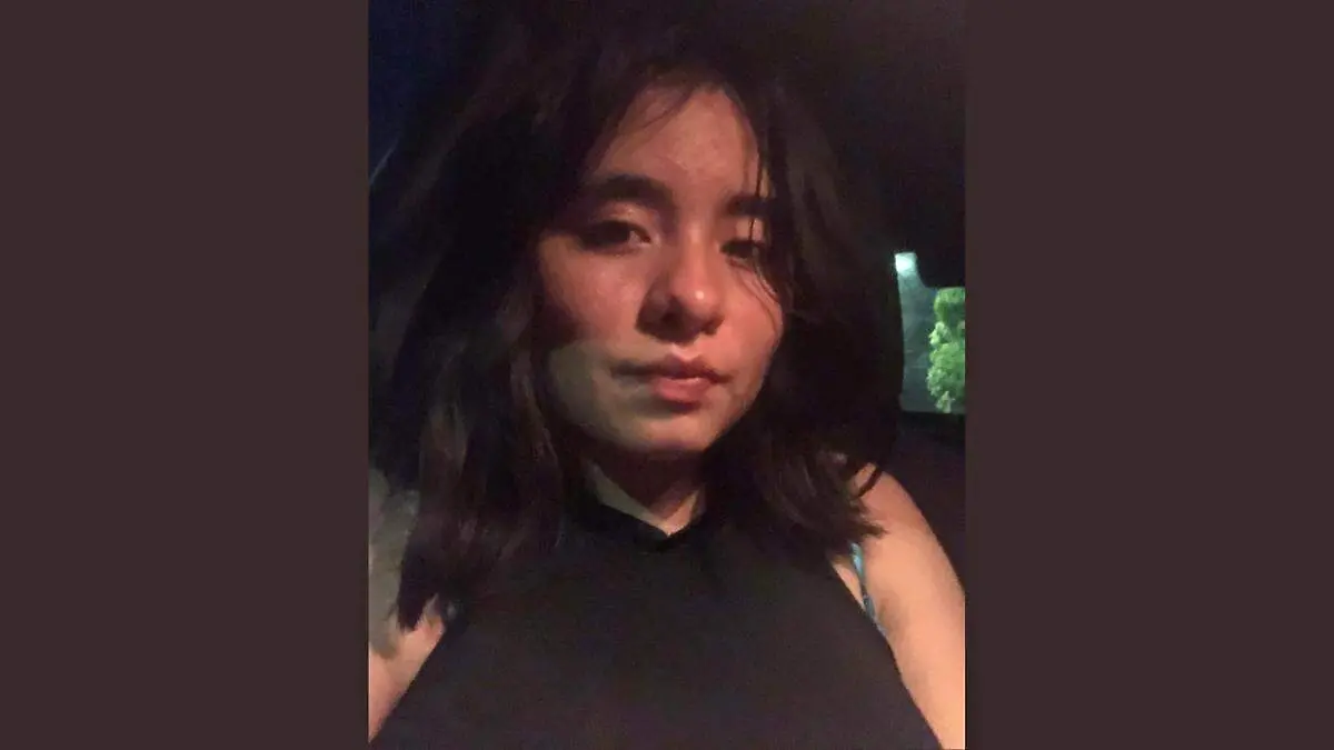 Camila-desaparecida