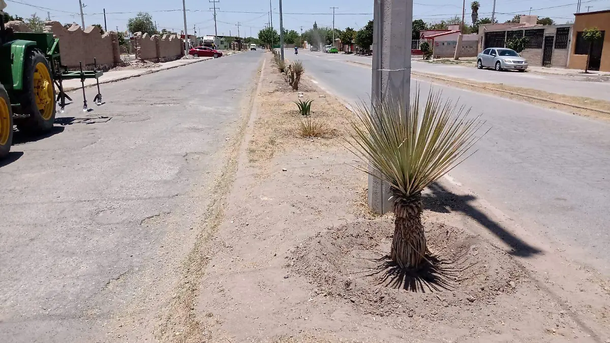 Bulevar Independencia San Pedro