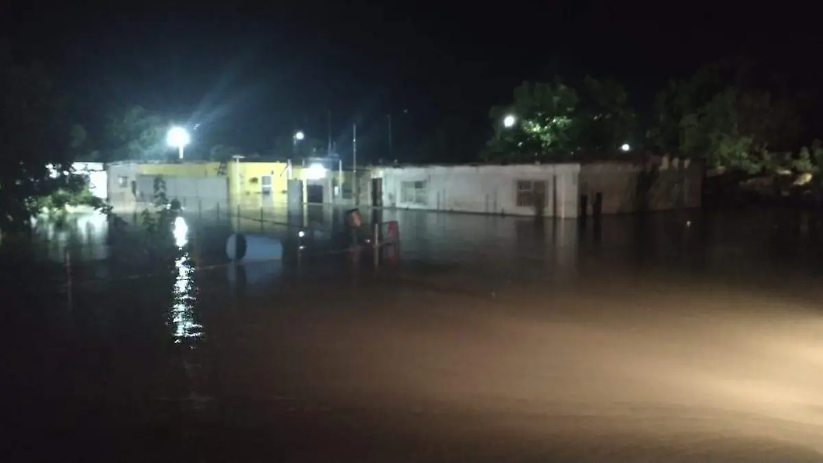 WhatsApp Image 2021-08-05 at 9.30.57 AM