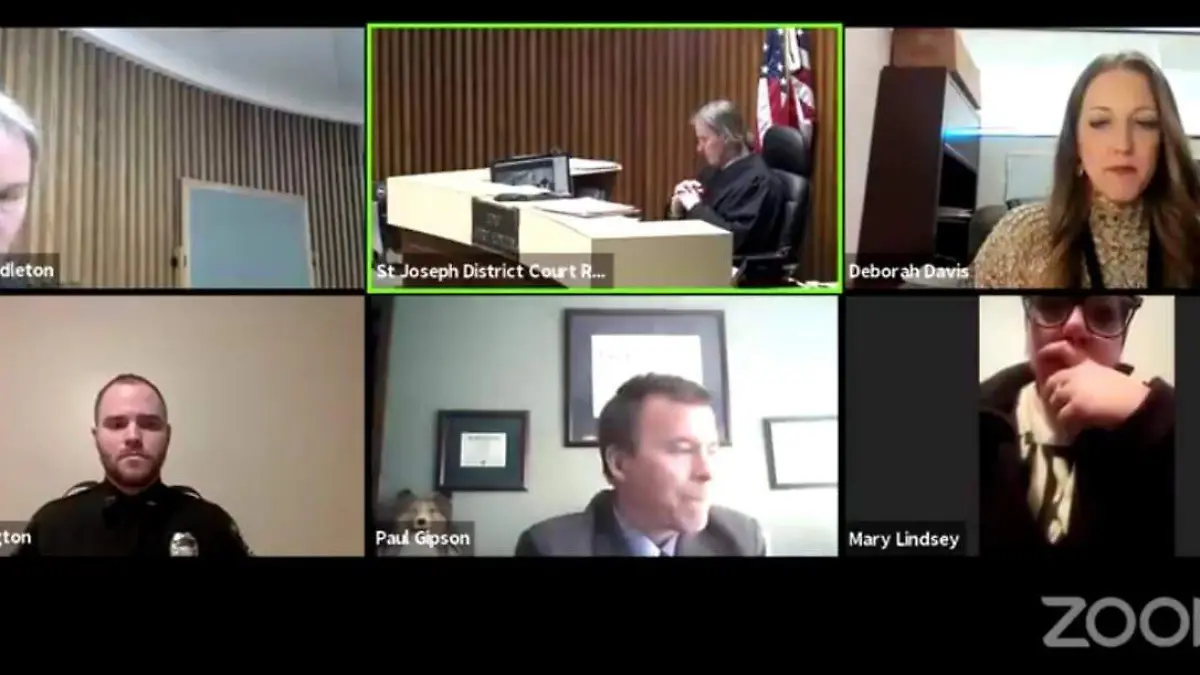 Audiencia virtual